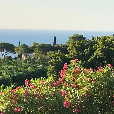 Villa Kalliope - Vue *